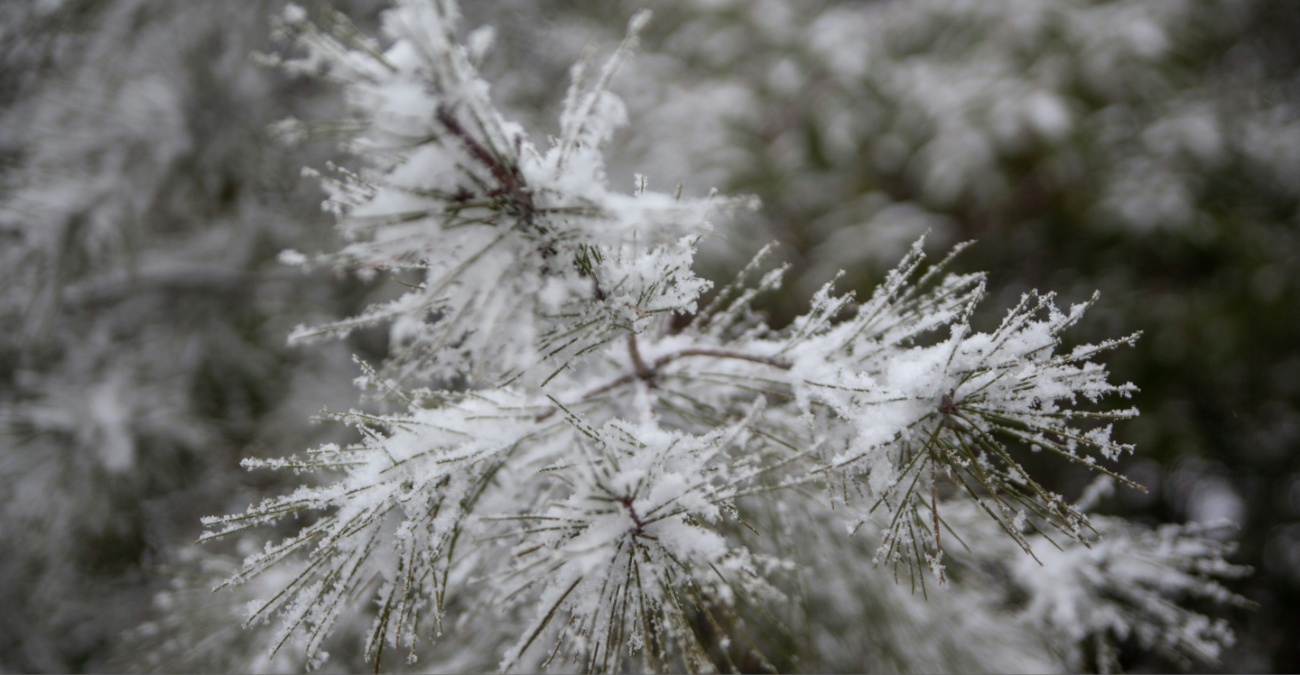 «Βουτιά» του υδράργυρου: Στους -1 βαθμούς στα ορεινά – Πού αναμένονται βροχές και χιόνια