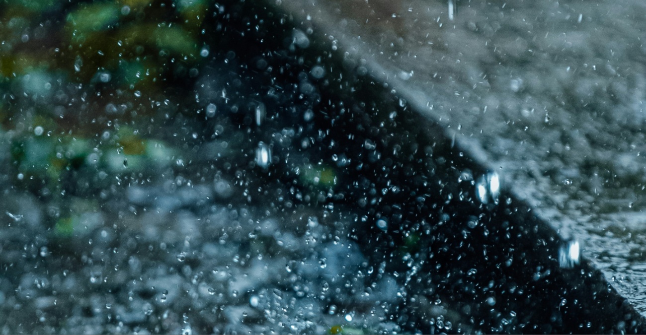 SOS &alpha;&pi;ό &tau;&eta;&nu; &Pi;&omicron;&lambda;&iota;&tau;&iota;&kappa;ή Ά&mu;&upsilon;&nu;&alpha; &gamma;&iota;&alpha; &tau;&eta;&nu; &kappa;&alpha;&kappa;&omicron;&kappa;&alpha;&iota;&rho;ί&alpha;: &Pi;ώ&sigmaf; &nu;&alpha; &pi;&rho;&omicron;&sigma;&tau;&alpha;&tau;&epsilon;&upsilon;&theta;&epsilon;ί&tau;&epsilon; &alpha;&pi;ό &pi;&lambda;&eta;&mu;&mu;ύ&rho;&epsilon;&sigmaf; &kappa;&alpha;&iota; &alpha;&nu;έ&mu;&omicron;&upsilon;&sigmaf;