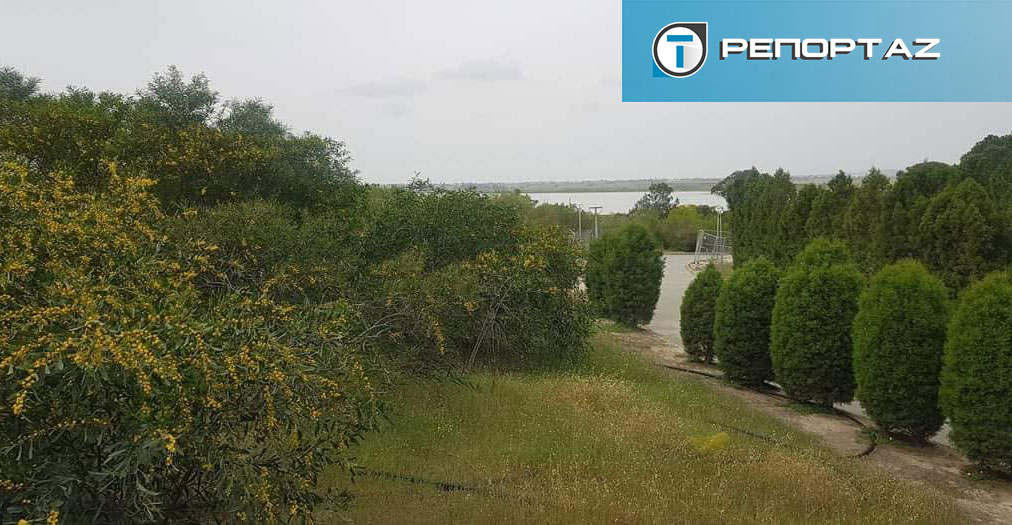 Επιστολή Επιτρόπου Περιβάλλοντος για τα έργα στο παττίχειο πάρκο-Βλέπει παρατυπίες και αλλοιώσεις