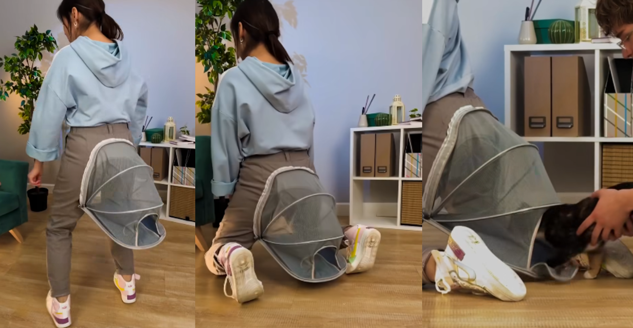 Όταν το παντελόνι σου γίνεται… καταφύγιο για γάτες – Η viral πατέντα για όσους έχουν κατοικίδιο – Θα το τολμούσαν οι Κύπριοι;