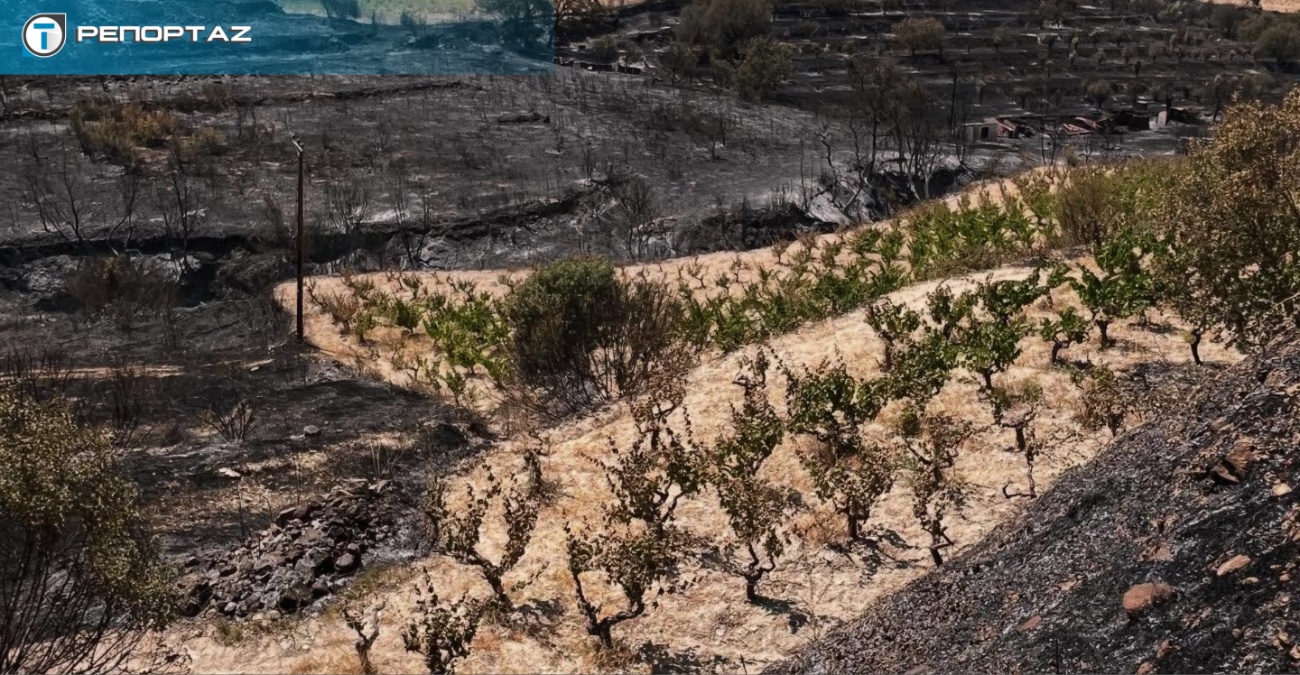Έγινε στάχτη η παραγωγή – Πυρκαγιές χτύπησαν τα οινοποιεία της Λεμεσού λίγο πριν τον τρύγο Έγινε στάχτη η παραγωγή – Πυρκαγιές χτύπησαν τα οινοποιεία της Λεμεσού λίγο πριν τον τρύγο