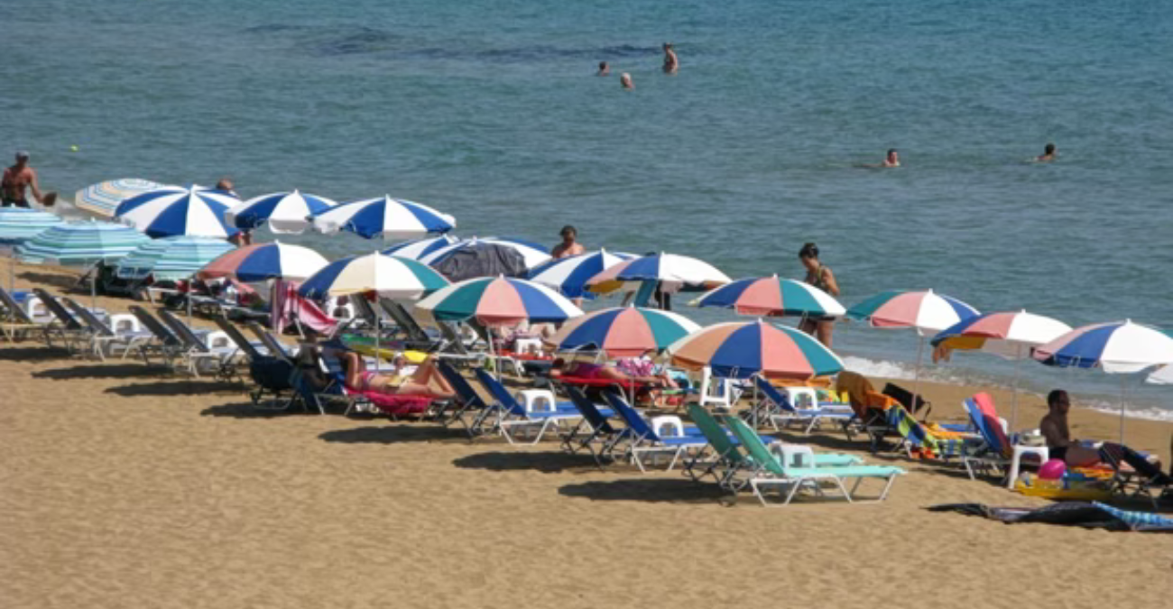 Αυξανόμενη η παρουσία του λαγοκέφαλου στις κυπριακές θάλασσες - Τι πρέπει να κάνετε αν σας δαγκώσει