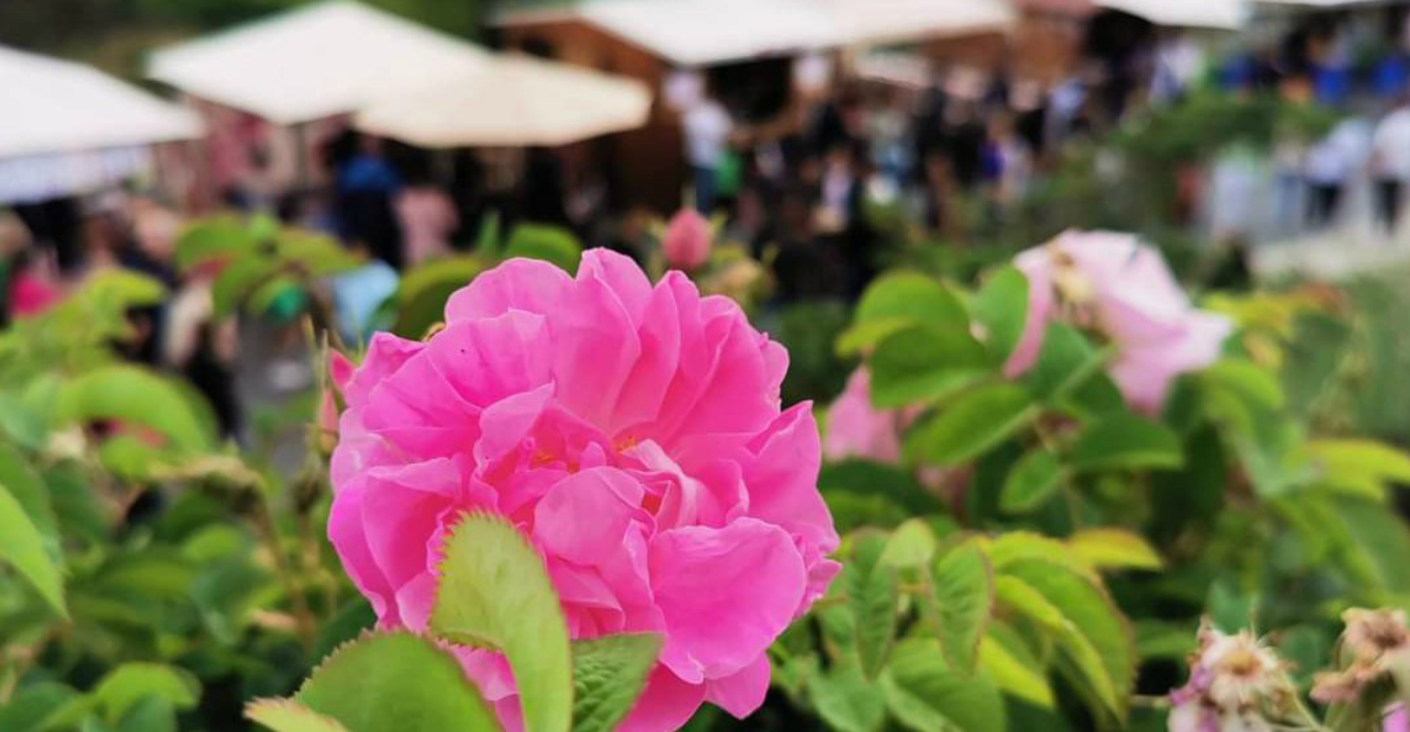 &Phi;&epsilon;&sigma;&tau;&iota;&beta;ά&lambda; &Tau;&rho;&iota;&alpha;&nu;&tau;&alpha;&phi;ύ&lambda;&lambda;&omicron;&upsilon; &sigma;&tau;&omicron;&nu; &Alpha;&gamma;&rho;ό: &Alpha;&upsilon;&tau;έ&sigmaf; &omicron;&iota; &eta;&mu;&epsilon;&rho;&omicron;&mu;&eta;&nu;ί&epsilon;&sigmaf; &nbsp;&laquo;&kappa;&lambda;&epsilon;ί&delta;&omega;&sigma;&alpha;&nu;&raquo;