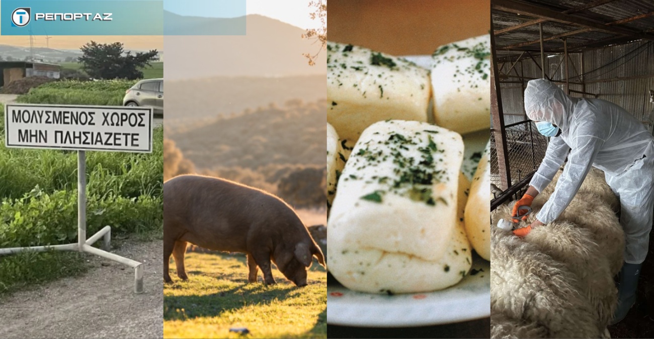 &Chi;&alpha;&lambda;&omicron;ύ&mu;&iota; ώ&rho;&alpha; &mu;&eta;&delta;έ&nu;: &Omicron; &alpha;&phi;&theta;ώ&delta;&eta;&sigmaf; &pi;&upsilon;&rho;&epsilon;&tau;ό&sigmaf; &kappa;&alpha;&iota; &eta; &epsilon;&upsilon;&rho;&omega;&pi;&alpha;ϊ&kappa;ή &kappa;&rho;ί&sigma;&eta; &laquo;&alpha;&delta;&epsilon;&iota;ά&zeta;&omicron;&upsilon;&nu;&raquo; &tau;&iota;&sigmaf; &kappa;&upsilon;&pi;&rho;&iota;&alpha;&kappa;έ&sigmaf; &kappa;&tau;&eta;&nu;&omicron;&tau;&rho;&omicron;&phi;&iota;&kappa;έ&sigmaf; &mu;&omicron;&nu;ά&delta;&epsilon;&sigmaf; &ndash; &Tau;&iota; &lambda;έ&nu;&epsilon; &omicron;&iota; &pi;&rho;&omicron;&beta;&lambda;έ&psi;&epsilon;&iota;&sigmaf; &kappa;&alpha;&iota; &tau;&alpha;  class=