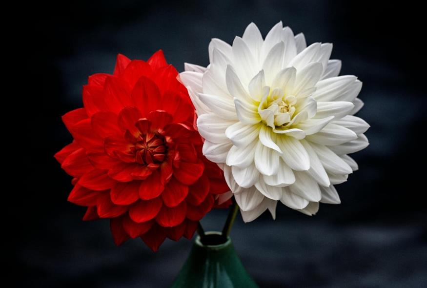 &Epsilon;&omicron;&rho;&tau;&omicron;&lambda;ό&gamma;&iota;&omicron;: &Tau;&omicron; &sigma;&pi;ά&nu;&iota;&omicron; ό&nu;&omicron;&mu;&alpha; &pi;&omicron;&upsilon; &gamma;&iota;&omicron;&rho;&tau;ά&zeta;&epsilon;&iota; &sigma;ή&mu;&epsilon;&rho;&alpha; &Pi;&alpha;&rho;&alpha;&sigma;&kappa;&epsilon;&upsilon;ή 3 &Alpha;&pi;&rho;&iota;&lambda;ί&omicron;&upsilon;