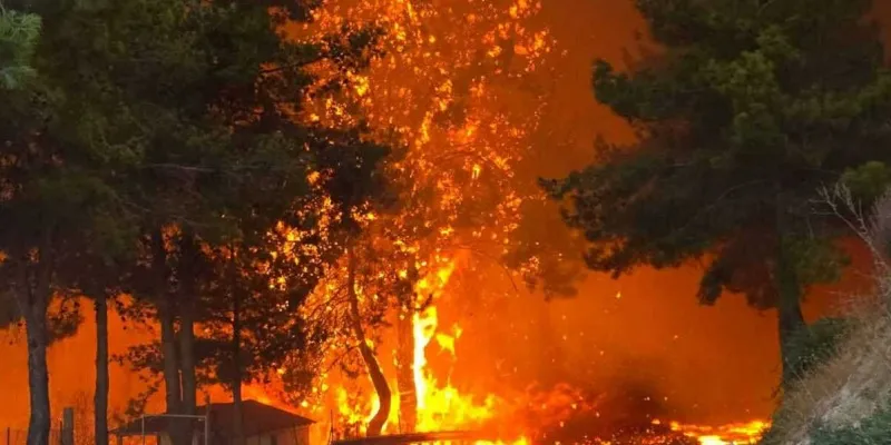 Ουδέποτε αναφέρθηκε σε έλλειψη συντονισμού