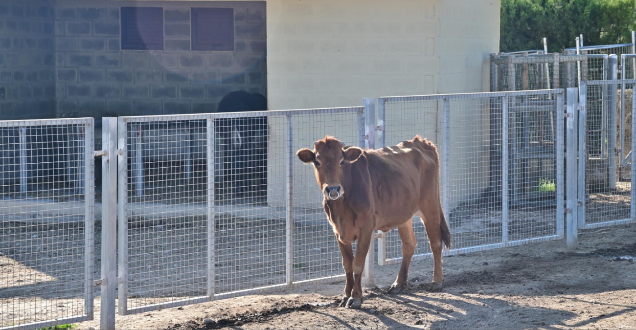 «Λουκέτο» στο Κέντρο Περιβαλλοντικής Ενημέρωσης Αθαλάσσας – Τι συμβαίνει με τον αφθώδη πυρετό