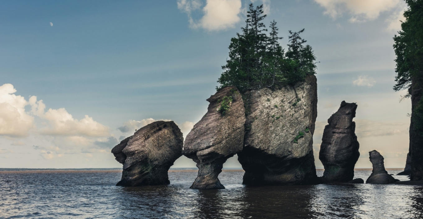 Η περιοχή του κόσμου όπου οι μεγαλύτερες παλίρροιες στον κόσμο αποκαλύπτουν νησιά, φάλαινες και απολιθώματα 300 εκατ. ετών