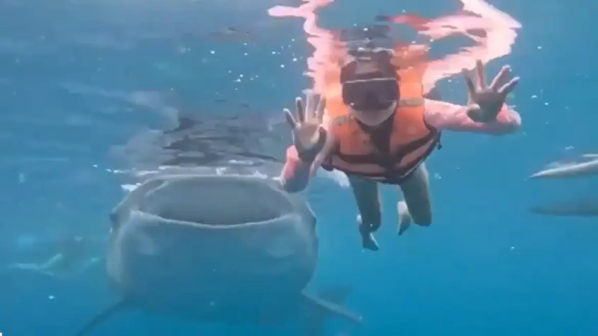 &Kappa;&omicron;&lambda;&upsilon;&mu;&beta;ή&tau;&rho;&iota;&alpha; &pi;ό&zeta;&alpha;&rho;&epsilon; &gamma;&iota;&alpha; &upsilon;&pi;&omicron;&beta;&rho;ύ&chi;&iota;&alpha; &phi;&omega;&tau;&omicron;&gamma;&rho;&alpha;&phi;ί&alpha; &sigma;&tau;&iota;&sigmaf; &Phi;&iota;&lambda;&iota;&pi;&pi;ί&nu;&epsilon;&sigmaf; &kappa;&alpha;&iota; &tau;&iota;&sigmaf; έ&kappa;&alpha;&nu;&epsilon; photobombing έ&nu;&alpha;&sigmaf;... &phi;&alpha;&lambda;&alpha;&iota;&nu;&omicron;&kappa;&alpha;&rho;&chi;&alpha;&rho;ί&alpha;&sigmaf; - &Delta;&epsilon;ί&tau;&epsilon; &beta;ί&nu;&tau;&epsilon;&omicron;