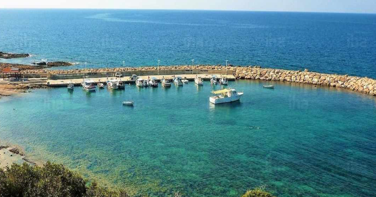 VIDEO: Ηλικιωμένος κυκλοφορούσε γυμνός σε παραλία και… φωτογραφιζόταν VIDEO: Ηλικιωμένος κυκλοφορούσε γυμνός σε παραλία και… φωτογραφιζόταν