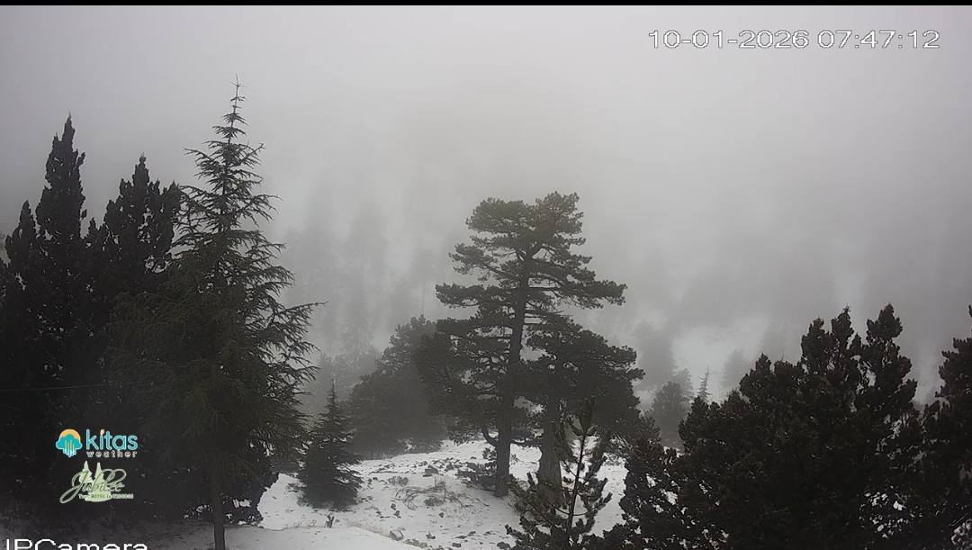 «Ντύθηκε στα λευκά» το Τρόοδος – Βίντεο και εικόνες που κάνουν τον γύρο του διαδικτύου