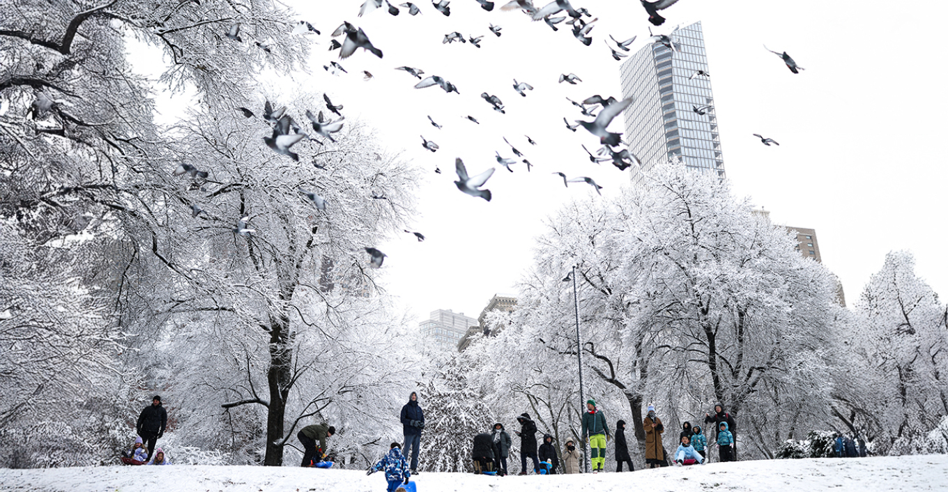 ΒΙΝΤΕΟ: Χιονοθύελλα «παγώνει» τη Νέα Υόρκη ΒΙΝΤΕΟ: Χιονοθύελλα «παγώνει» τη Νέα Υόρκη