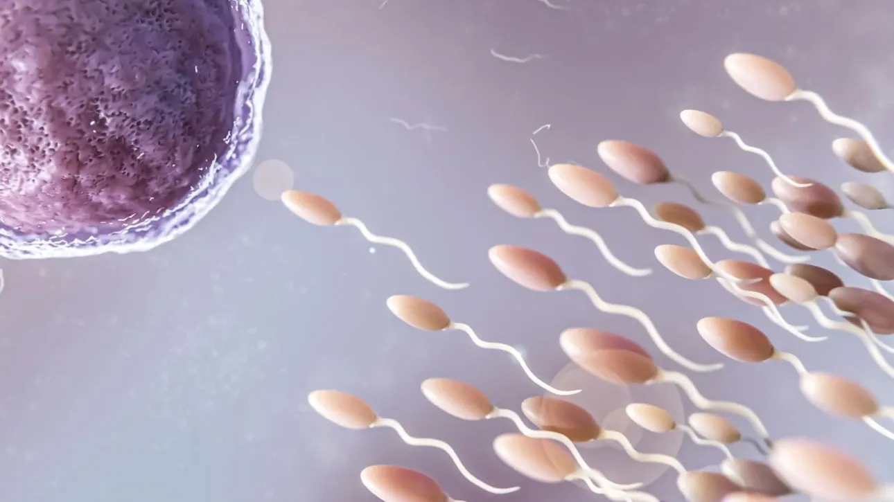 &Nu;έ&alpha; &mu;&epsilon;&lambda;έ&tau;&eta;: &Eta; &pi;&omicron;&iota;ό&tau;&eta;&tau;&alpha; &tau;&omicron;&upsilon; &alpha;&nu;&theta;&rho;ώ&pi;&iota;&nu;&omicron;&upsilon; &sigma;&pi;έ&rho;&mu;&alpha;&tau;&omicron;&sigmaf; &kappa;&omicron;&rho;&upsilon;&phi;ώ&nu;&epsilon;&tau;&alpha;&iota; &tau;&omicron; &kappa;&alpha;&lambda;&omicron;&kappa;&alpha;ί&rho;&iota;