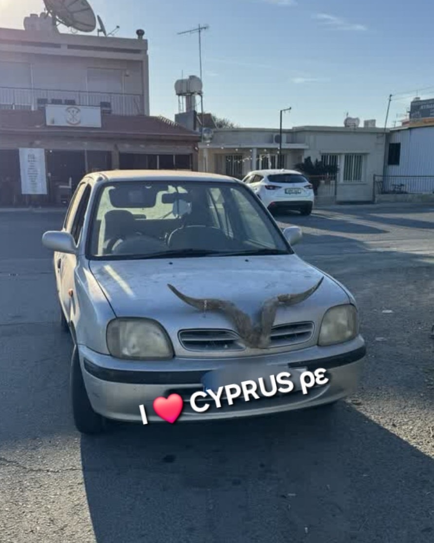 Αυτοκίνητο με… κέρατα στην πρόσοψη! – Δείτε φωτογραφία Αυτοκίνητο με… κέρατα στην πρόσοψη! – Δείτε φωτογραφία