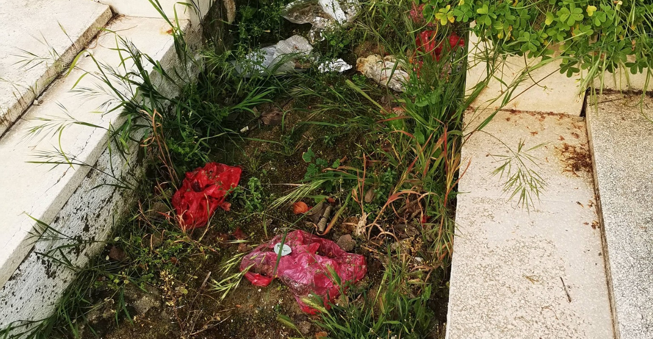 &Epsilon;&iota;&kappa;ό&nu;&epsilon;&sigmaf; &nu;&tau;&rho;&omicron;&pi;ή&sigmaf; &sigma;&epsilon; &kappa;&omicron;&iota;&mu;&eta;&tau;ή&rho;&iota;&omicron; &sigma;&tau;&eta; &Lambda;ά&rho;&nu;&alpha;&kappa;&alpha;: &Sigma;&kappa;&omicron;&upsilon;&pi;ί&delta;&iota;&alpha; &pi;&alpha;&nu;&tau;&omicron;ύ - &Omicron;&rho;&gamma;&iota;&sigma;&mu;έ&nu;&eta; &alpha;&nu;ά&rho;&tau;&eta;&sigma;&eta; &pi;&omicron;&lambda;ί&tau;&eta; &laquo;&Alpha;ί&sigma;&chi;&omicron;&sigmaf;, &alpha;&eta;&delta;ί&alpha;...&alpha;&sigmaf; &sigma;&epsilon;&beta;&alpha;&sigma;&tau;&omicron;ύ&mu;&epsilon; &tau;&omicron;&upsilon;&sigmaf; &nu;&epsilon;&kappa;&rho;&omicron;ύ&sigmaf;&raquo; - &Phi;&omega;&tau;&omicron;&gamma;