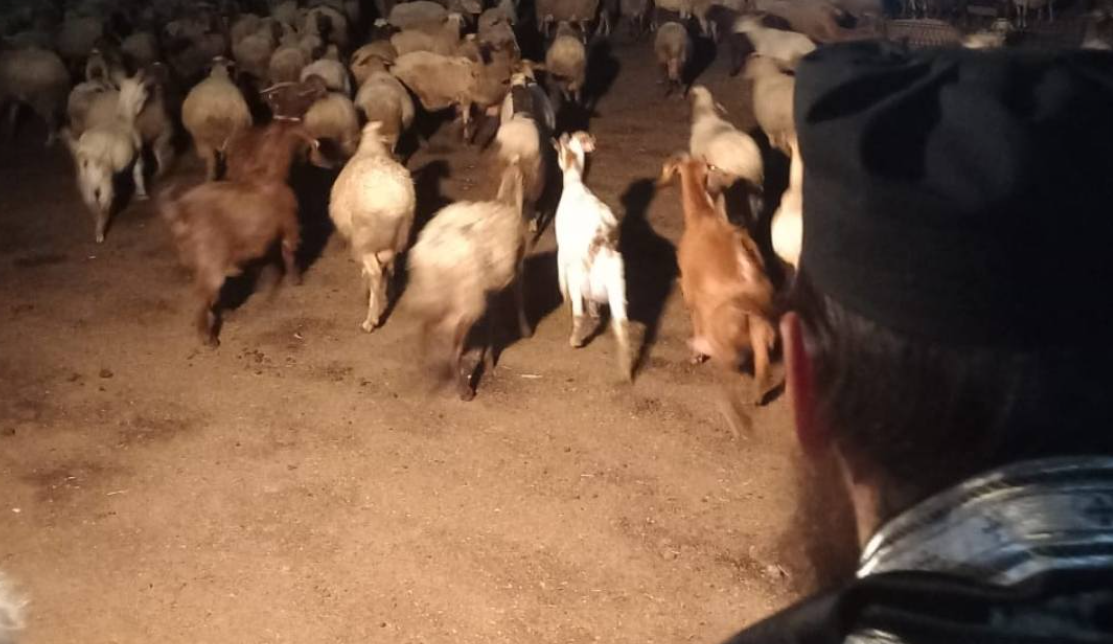 &Alpha;&gamma;&iota;&alpha;&sigma;&mu;ό&sigmaf; &sigma;&epsilon; &phi;ά&rho;&mu;&alpha;: &Chi;&omega;&rho;ί&sigmaf; &alpha;&phi;&theta;ώ&delta;&eta; &pi;&upsilon;&rho;&epsilon;&tau;ό &tau;&alpha; &zeta;ώ&alpha; &pi;&omicron;&upsilon; &epsilon;&upsilon;&lambda;ό&gamma;&eta;&sigma;&alpha;&nu; &omicron;&iota; &iota;&epsilon;&rho;&epsilon;ί&sigmaf; - &laquo;&Eta; &Epsilon;&kappa;&kappa;&lambda;&eta;&sigma;ί&alpha; &delta;&epsilon;&nu; &epsilon;&nu;&epsilon;&rho;&gamma;&epsilon;ί &alpha;&nu;&epsilon;ύ&theta;&upsilon;&nu;&alpha;&raquo;