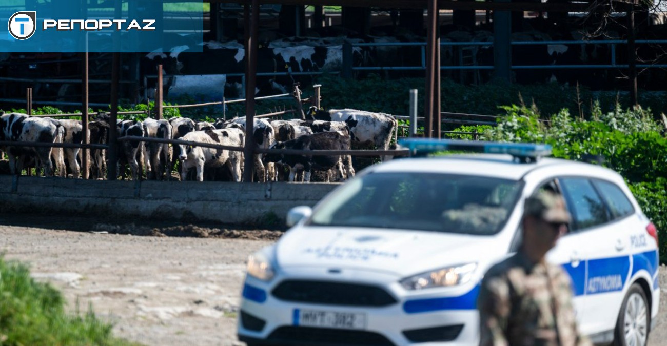&Kappa;&tau;&eta;&nu;&omicron;&tau;&rho;&omicron;&phi;ί&alpha;, &kappa;&rho;ί&sigma;&eta; &kappa;&alpha;&iota; &kappa;ά&lambda;&pi;&epsilon;&sigmaf;: &Omicron; &alpha;&phi;&theta;ώ&delta;&eta;&sigmaf; &pi;&upsilon;&rho;&epsilon;&tau;ό&sigmaf; &alpha;&lambda;&lambda;ά&zeta;&epsilon;&iota; &tau;&eta;&nu; &pi;&omicron;&lambda;&iota;&tau;&iota;&kappa;ή &alpha;&tau;&zeta;έ&nu;&tau;&alpha;-&Kappa;ό&mu;&mu;&alpha;&tau;&alpha;, &sigma;&tau;ή&nu;&omicron;&upsilon;&nu; &tau;&omicron; &pi;&rho;&omicron;&epsilon;&delta;&rho;&iota;&kappa;ό, &sigma;&tau;&omicron;&nu; &tau;&omicron;ί&chi;&omicron;