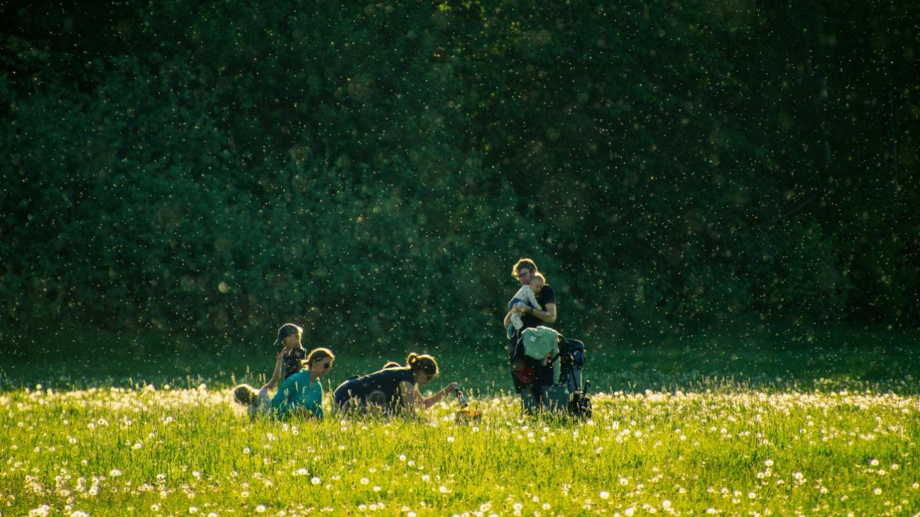 &Eta; ά&nu;&omicron;&iota;&xi;&eta; &phi;έ&rho;&nu;&epsilon;&iota; &mu;&epsilon;&gamma;ά&lambda;&epsilon;&sigmaf; &alpha;&lambda;&lambda;&alpha;&gamma;έ&sigmaf; &sigma;&epsilon; &tau;&rho;ί&alpha; &zeta;ώ&delta;&iota;&alpha;