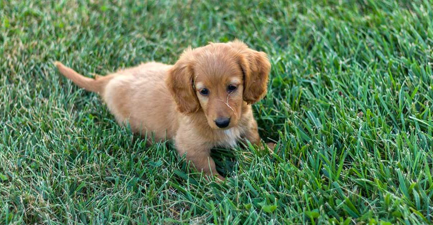 &Beta;&Iota;&Nu;&Tau;&Epsilon;&Omicron; - &Alpha;&pi;&omicron;&tau;&rho;&omicron;&pi;&iota;&alpha;&sigma;&tau;&iota;&kappa;έ&sigmaf; &epsilon;&iota;&kappa;ό&nu;&epsilon;&sigmaf;: &Beta;&rho;ή&kappa;&alpha;&nu; &kappa;&omicron;&upsilon;&tau;ά&beta;&iota;&alpha; &delta;&epsilon;&mu;έ&nu;&alpha; &sigma;&epsilon; &sigma;&alpha;&kappa;&omicron;ύ&lambda;&alpha;, &mu;ό&nu;&omicron; έ&nu;&alpha; &epsilon;&pi;έ&zeta;&eta;&sigma;&epsilon; &ndash; &Tau;&iota; &kappa;&alpha;&tau;&alpha;&gamma;&gamma;έ&lambda;&lambda;&epsilon;&iota; &tau;&omicron; &Kappa;ί&nu;&eta;&mu;&alpha; &Omicron;&iota;&kappa;&omicron;&lambda;ό&gamma;&omega;&nu;