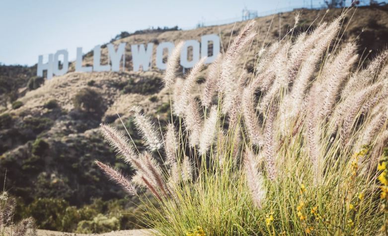 Άγριο έγκλημα στο Χόλιγουντ: Νεκροί γνωστός σκηνοθέτης και η σύζυγός του