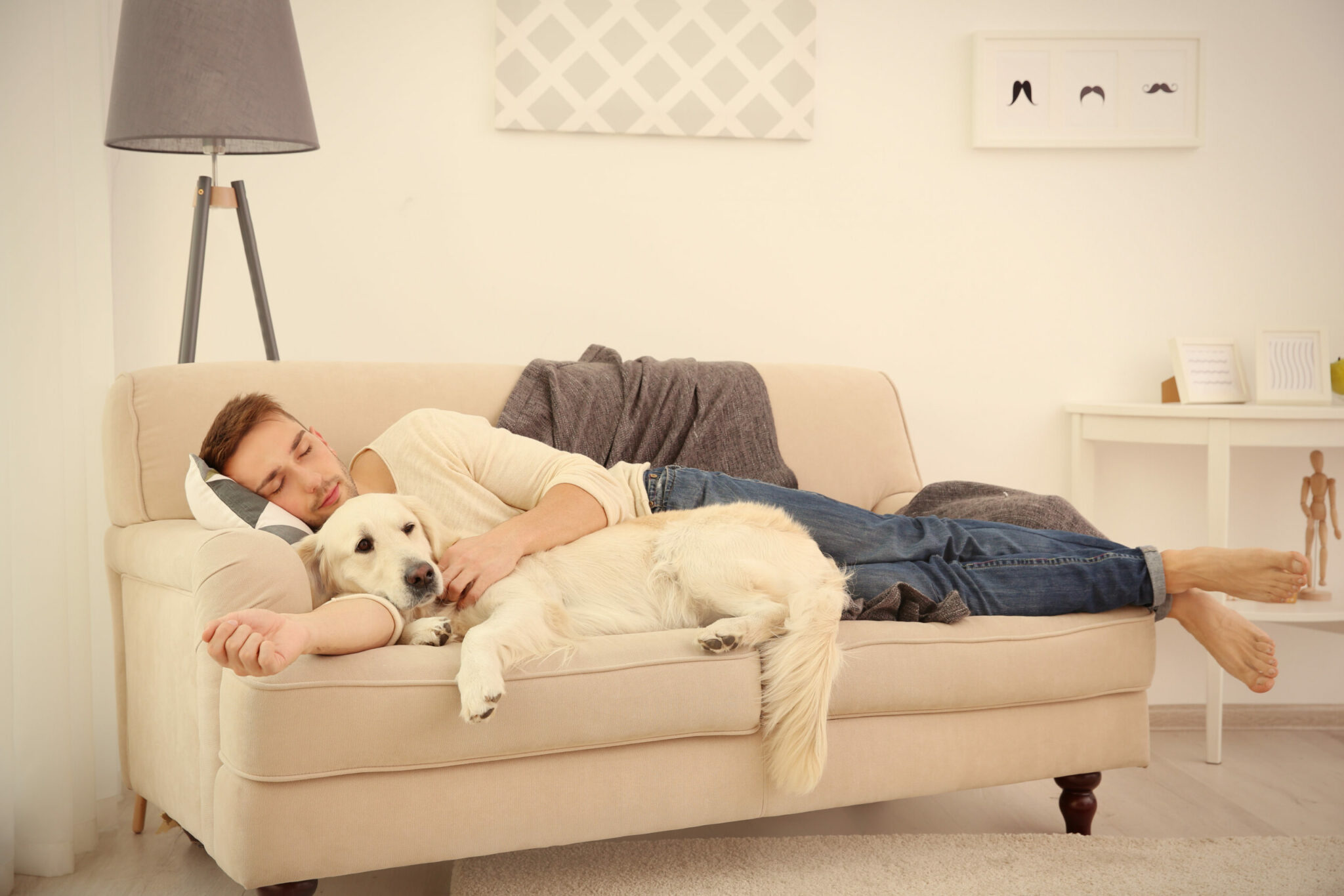 &Beta;&lambda;έ&pi;&epsilon;&tau;&epsilon; &sigma;&upsilon;&nu;έ&chi;&epsilon;&iota;&alpha; &sigma;&tau;&omicron;&nu; ύ&pi;&nu;&omicron; &sigma;&alpha;&sigmaf; έ&nu;&alpha;&nu; &sigma;&kappa;ύ&lambda;&omicron;; &Delta;&epsilon;ί&tau;&epsilon; &tau;&iota; &mu;&pi;&omicron;&rho;&epsilon;ί &nu;&alpha; &sigma;&eta;&mu;&alpha;ί&nu;&epsilon;&iota;