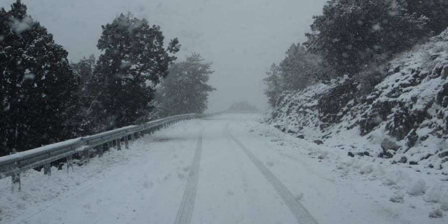 Το «έστρωσε» καλά στο Τρόοδος: Πάγωσε η λίμνη στον Βοτανικό κήπο – Μαγικές εικόνες από το κατάλευκο τοπίο