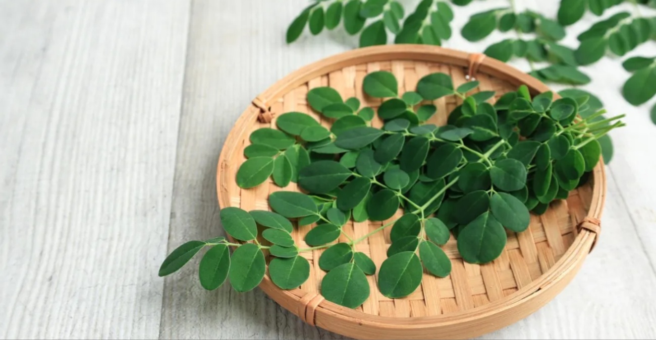 Το ταπεινό φυτό που «καθαρίζει» το νερό από μικροπλαστικά με φυσικό τρόπο