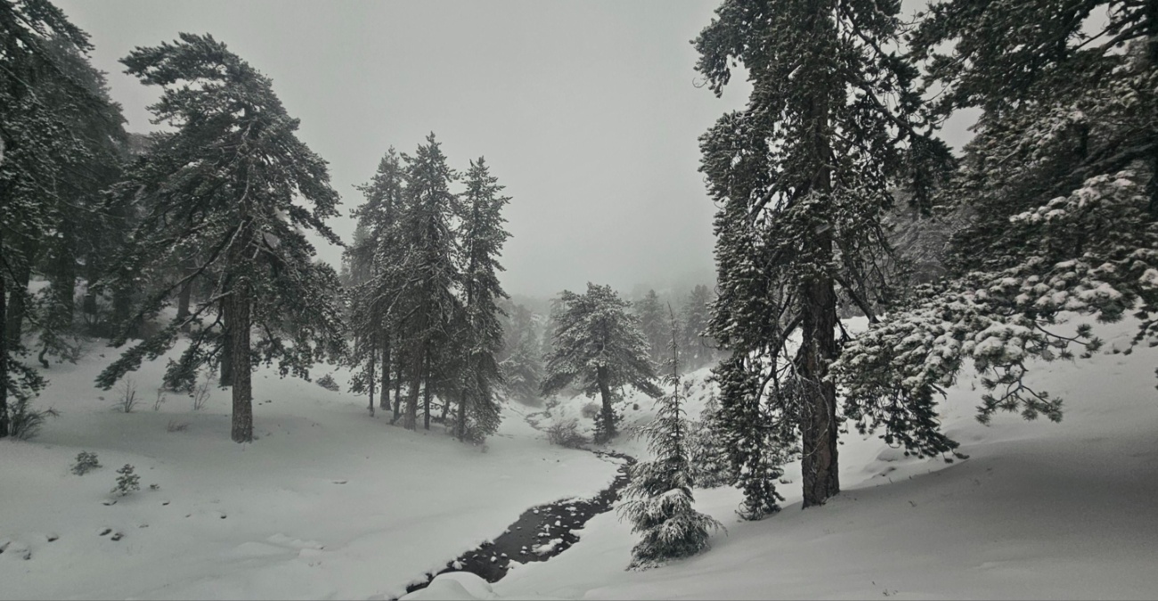 Έπεσαν τα πρώτα χιόνια και «χαμογέλασαν» τα ημιορεινά – Άσπρισαν Σπήλια, Παλαιχώρι και Μαχαιράς