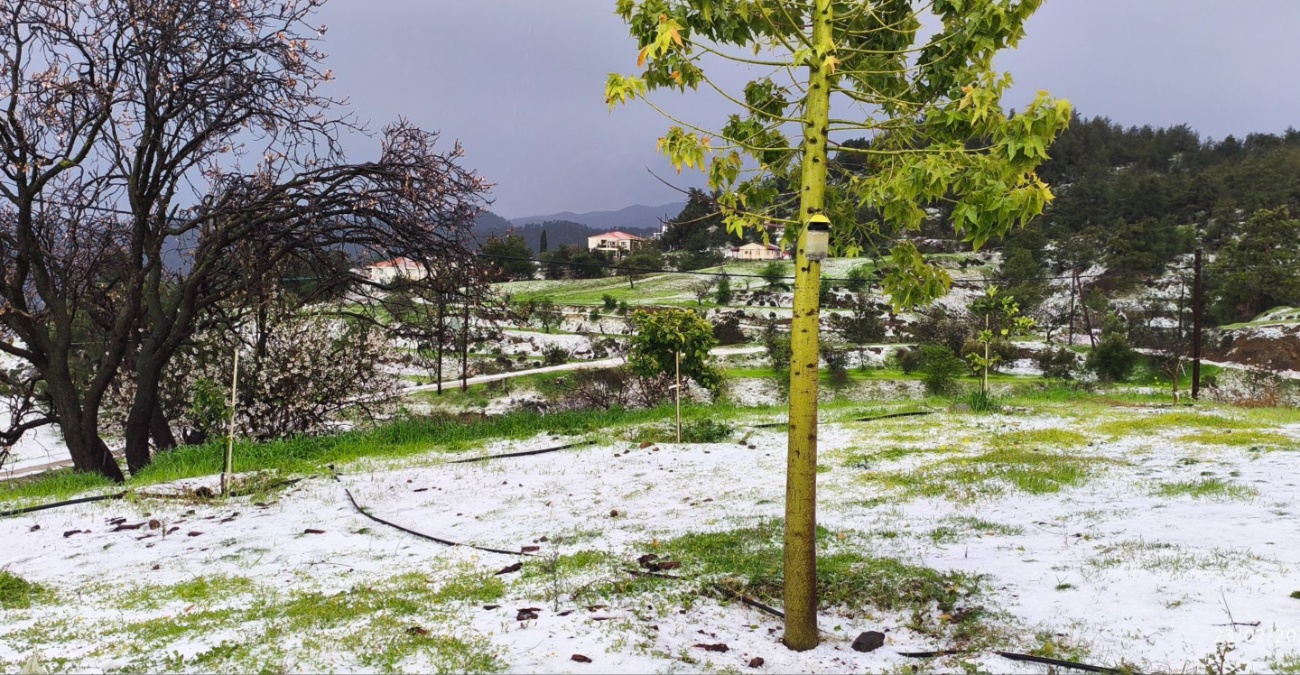 &laquo;&Pi;&nu;ί&gamma;&eta;&kappa;&epsilon;&raquo; &eta; &Kappa;&alpha;&theta;&alpha;&rho;ά &Delta;&epsilon;&upsilon;&tau;έ&rho;&alpha;: &Sigma;&phi;&omicron;&delta;&rho;έ&sigmaf; &kappa;&alpha;&tau;&alpha;&iota;&gamma;ί&delta;&epsilon;&sigmaf; &kappa;&alpha;&iota; &pi;&lambda;&eta;&mu;&mu;&upsilon;&rho;&iota;&sigma;&mu;έ&nu;&omicron;&iota; &delta;&rho;ό&mu;&omicron;&iota; &ndash; &Delta;&epsilon;ί&tau;&epsilon; &beta;ί&nu;&tau;&epsilon;&omicron;