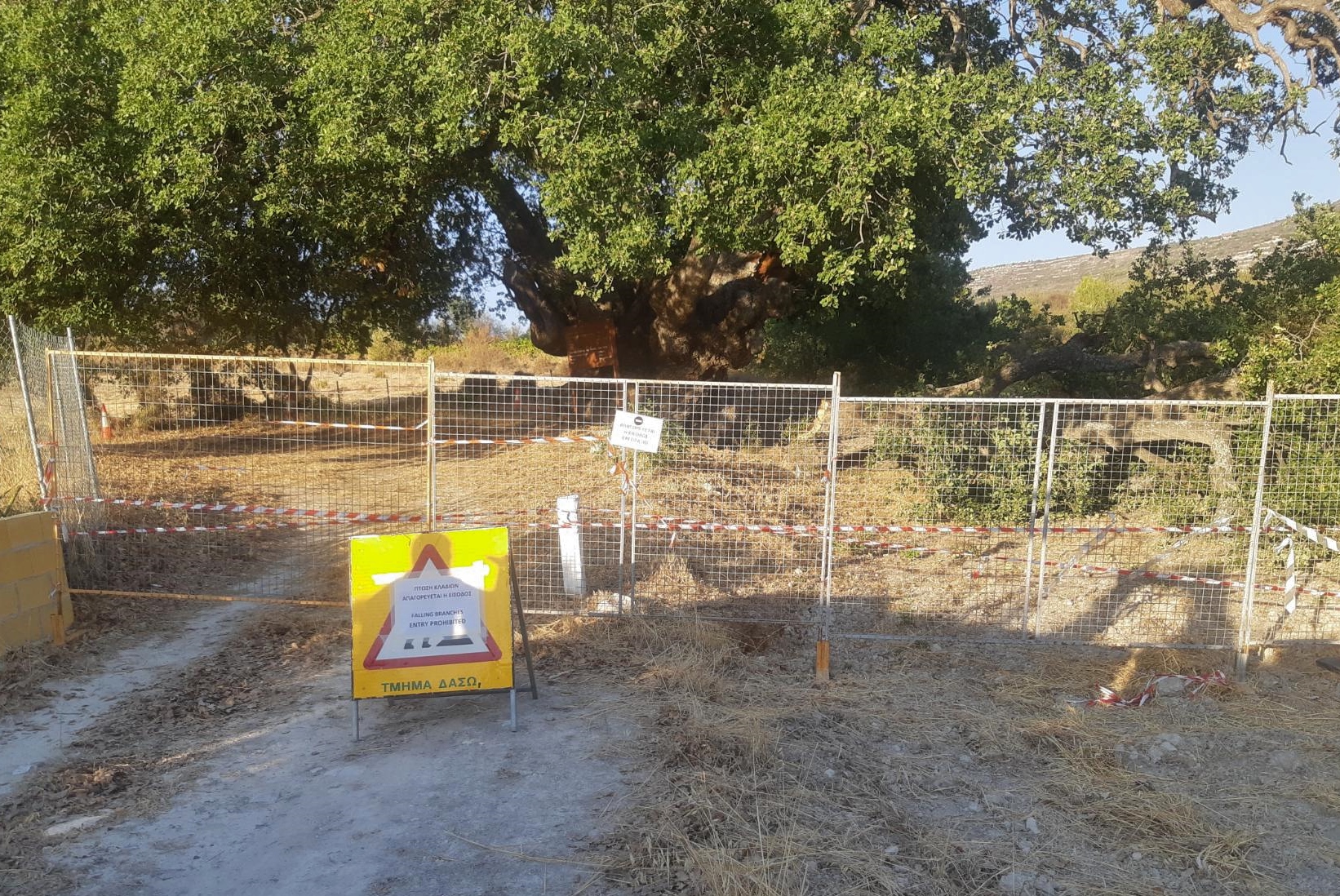 Προειδοποιεί το Τμήμα Δασών: Μην πλησιάζεται αυτό το μνημείο, είναι επικίνδυνο
