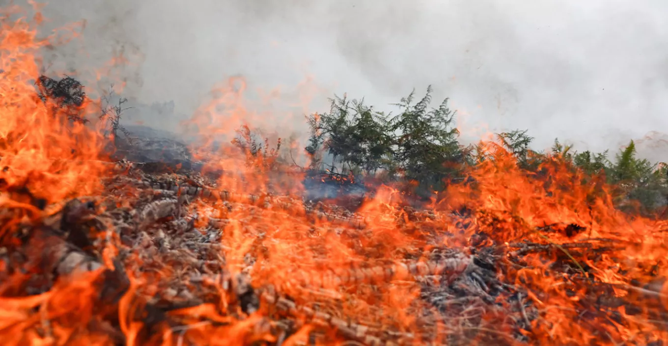 &Kappa;&alpha;&tau;&alpha;&zeta;&eta;&tau;&epsilon;ί&tau;&alpha;&iota; &pi;&rho;ό&sigma;&omega;&pi;&omicron; &gamma;&iota;&alpha; &tau;&eta; &phi;&omega;&tau;&iota;ά &sigma;&tau;&omicron;&nu; &Kappa;ό&rho;&nu;&omicron; - &Gamma;&upsilon;&nu;&alpha;ί&kappa;&alpha; &tau;&omicron;&nu; &epsilon;&nu;&tau;ό&pi;&iota;&sigma;&epsilon; &kappa;&alpha;&iota; &phi;&omega;&tau;&omicron;&gamma;&rho;ά&phi;&iota;&sigma;&epsilon; &tau;&omicron; ό&chi;&eta;&mu;ά &tau;&omicron;&upsilon;