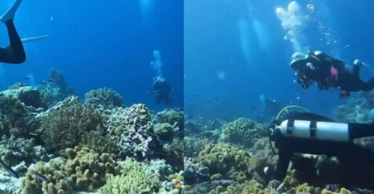 Ένα Χριστουγεννιάτικο Δέντρο στον… βυθό του Πρωταρά