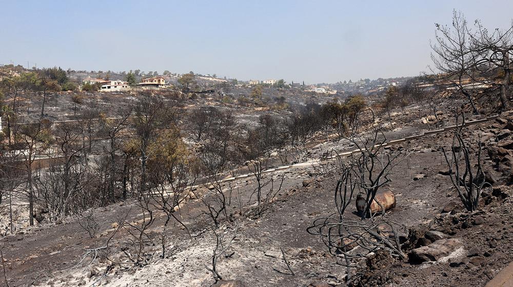 Με ταχύτητα προχωρά η στήριξη των πυρόπληκτων