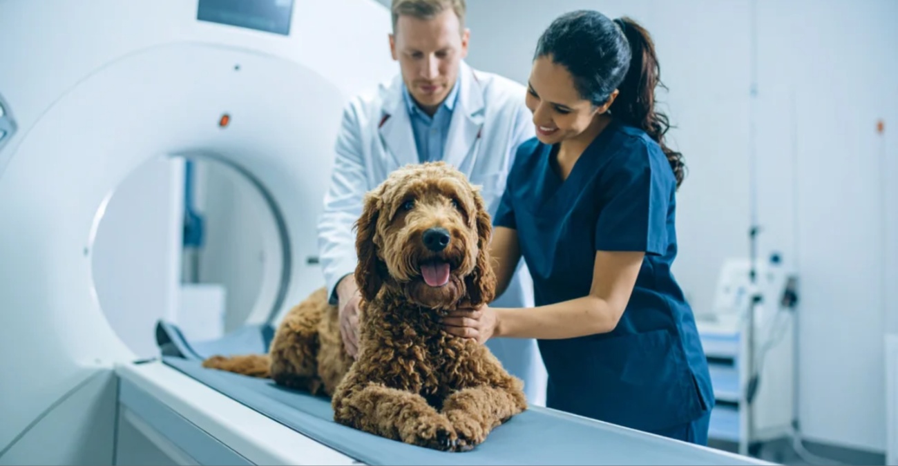 &Beta;&Iota;&Nu;&Tau;&Epsilon;&Omicron;: &Alpha;&kappa;&tau;&iota;&nu;&omicron;&delta;&iota;&alpha;&gamma;&nu;&omega;&sigma;&tau;&iota;&kappa;ό &kappa;έ&nu;&tau;&rho;&omicron; &tau;&omicron;&upsilon; &Gamma;&epsilon;&Sigma;&Upsilon; &epsilon;&xi;&epsilon;&tau;ά&zeta;&epsilon;&iota; &alpha;&nu;&theta;&rho;ώ&pi;&omicron;&upsilon;&sigmaf; &tau;&eta; &mu;έ&rho;&alpha; &kappa;&alpha;&iota;... &sigma;&kappa;ύ&lambda;&omicron;&upsilon;&sigmaf; &tau;&omicron; &beta;&rho;ά&delta;&upsilon;!