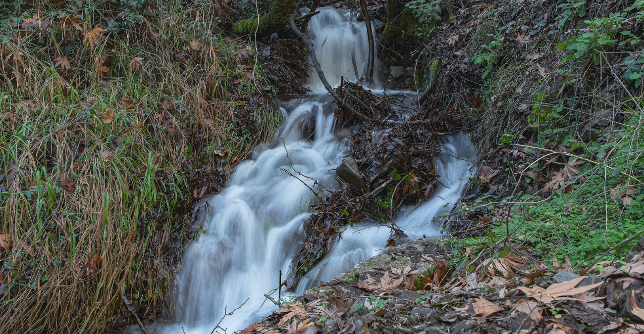 &Phi;&omega;&tau;&omicron;&gamma;&rho;&alpha;&phi;ί&epsilon;&sigmaf; &pi;&omicron;&upsilon; &kappa;&alpha;&theta;&eta;&lambda;ώ&nu;&omicron;&upsilon;&nu;: &Omicron; &Pi;&lambda;&alpha;&tau;ύ&sigmaf; &Pi;&omicron;&tau;&alpha;&mu;ό&sigmaf; &laquo;&zeta;&omega;&nu;&tau;&alpha;&nu;&epsilon;ύ&epsilon;&iota;&raquo; &mu;&epsilon;&tau;ά &tau;&iota;&sigmaf; &beta;&rho;&omicron;&chi;έ&sigmaf;
