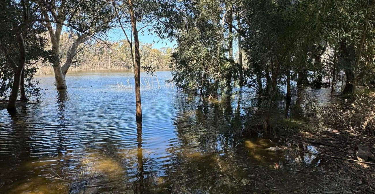 Αποτρόπαιο θέαμα στην Αθαλάσσα: «Νεκροταφείο» ψαριών στη λίμνη - Ανησυχία πολιτών - Φωτογραφίες
