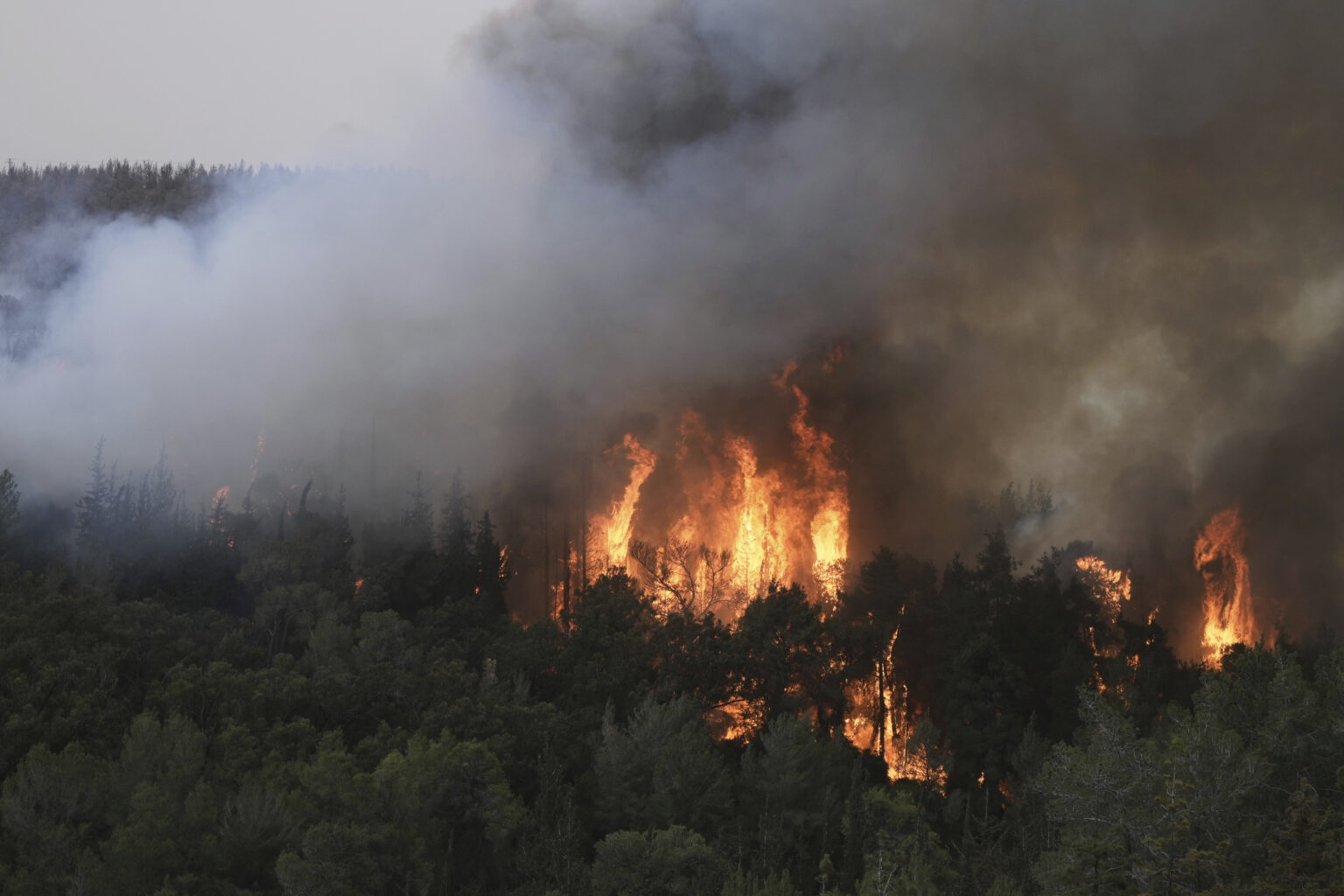 Διεθνής κινητοποίηση για τις πυρκαγιές στο Ισραήλ – Άμεση η ανταπόκριση της Κύπρου