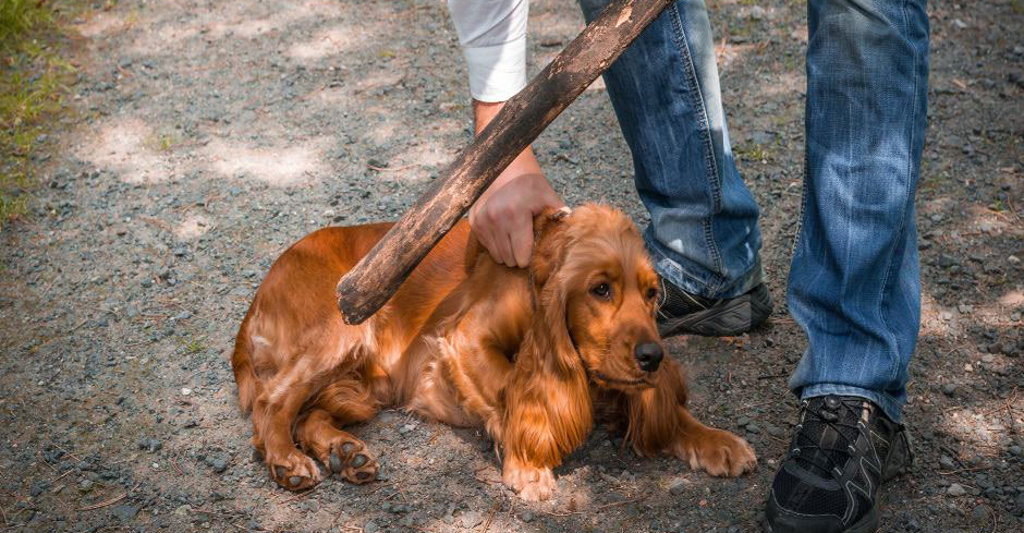 Στη φυλακή 37χρονος στην Κύπρο