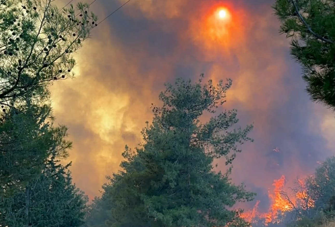 Η υπεραγορά Άλφαμεγα στην Τριμίκλινη προσφέρει είδη πρώτης ανάγκης