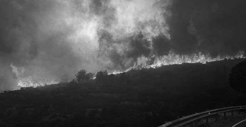 Φτάνει πια με τα κροκοδείλια δάκρυα – Φταίτε όλοι Φτάνει πια με τα κροκοδείλια δάκρυα – Φταίτε όλοι