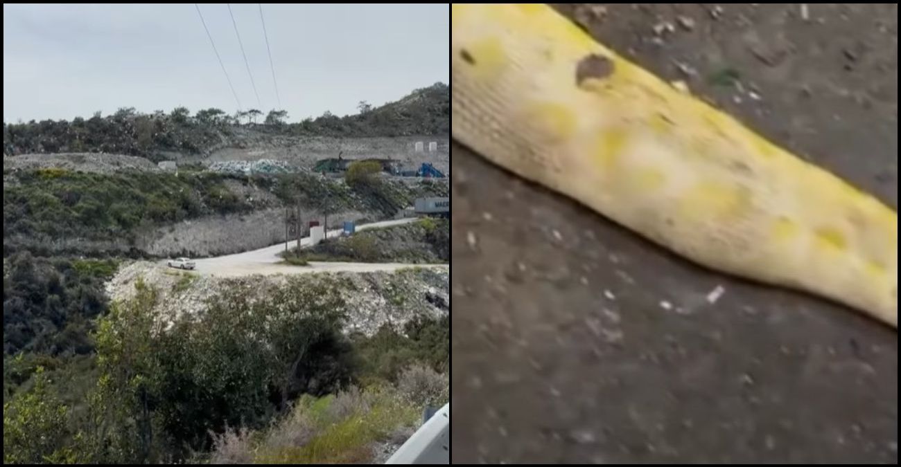 &Sigma;&omicron;&kappa; &sigma;&tau;&omicron; &Pi;&epsilon;&nu;&tau;ά&kappa;&omega;&mu;&omicron; &ndash; &Beta;&rho;ή&kappa;&alpha;&nu; &pi;ύ&theta;&omega;&nu;&alpha; &sigma;&tau;&alpha; &sigma;&kappa;&omicron;&upsilon;&pi;ί&delta;&iota;&alpha; &ndash; &laquo;&Eta; &alpha;&nu;&omicron;&chi;ή &tau;&omicron;&upsilon; &kappa;ό&sigma;&mu;&omicron;&upsilon; έ&chi;&epsilon;&iota; ό&rho;&iota;&alpha;&raquo; &ndash; &Delta;&epsilon;ί&tau;&epsilon; &beta;ί&nu;&tau;&epsilon;&omicron;