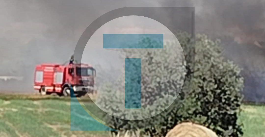 Video: Ξέσπασε πυρκαγιά δίπλα από κατοικημένη περιοχή στην Επ. Λάρνακας - Επί ποδός η Πυροσβεστική