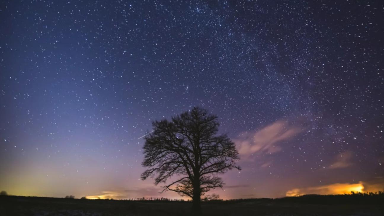 &Tau;&alpha; &tau;&rho;ί&alpha; &pi;&iota;&omicron; &tau;&upsilon;&chi;&epsilon;&rho;ά &zeta;ώ&delta;&iota;&alpha; &tau;&eta;&sigmaf; &epsilon;&beta;&delta;&omicron;&mu;ά&delta;&alpha;&sigmaf; -&Theta;&alpha; &delta;&omicron;&upsilon;&nu; &epsilon;&pi;&iota;&tau;έ&lambda;&omicron;&upsilon;&sigmaf; &tau;&iota;&sigmaf; &pi;&rho;&omicron;&sigma;&pi;ά&theta;&epsilon;&iota;έ&sigmaf; &tau;&omicron;&upsilon;&sigmaf; &nu;&alpha; &alpha;&pi;&omicron;&delta;ί&delta;&omicron;&upsilon;&nu;