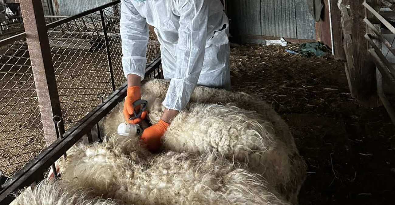 &Alpha;&nu;&eta;&sigma;&upsilon;&chi;ί&alpha; &gamma;&iota;&alpha; &alpha;&phi;&theta;ώ&delta;&eta; &pi;&upsilon;&rho;&epsilon;&tau;ό: &Nu;έ&alpha; &kappa;&rho;&omicron;ύ&sigma;&mu;&alpha;&tau;&alpha; &sigma;&epsilon; &Gamma;έ&rho;&iota; &kappa;&alpha;&iota; &Delta;ά&lambda;&iota; &ndash; &laquo;Ή&tau;&alpha;&nu; &mu;έ&sigma;&alpha; &sigma;&tau;&alpha; &pi;&iota;&theta;&alpha;&nu;ά &sigma;&epsilon;&nu;ά&rho;&iota;&alpha;&raquo;