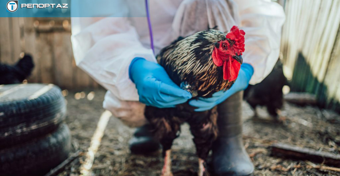 Σε επαγρύπνηση η Κύπρος για κρούσματα – Τα μέτρα και οι οδηγίες στους κτηνοτρόφους
