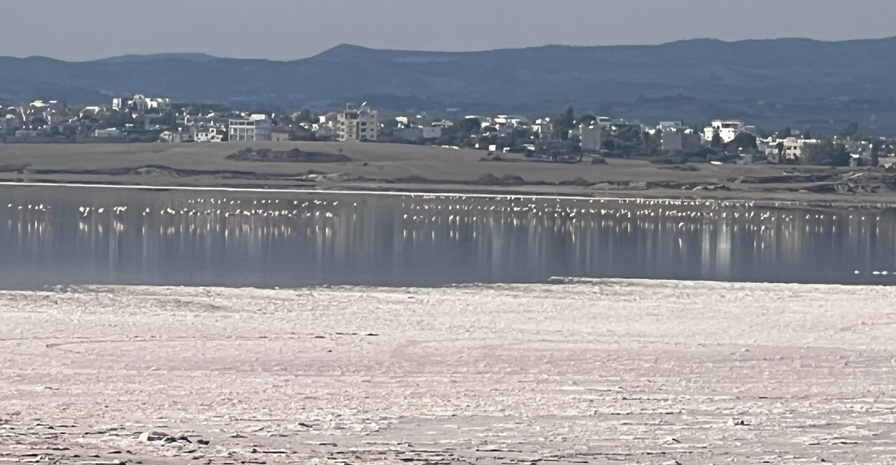 Ένα σπάνιο θέαμα στην Αλυκή Λάρνακας: Μαγευτική αντανάκλαση μετά τη φθινοπωρινή βροχή Ένα σπάνιο θέαμα στην Αλυκή Λάρνακας: Μαγευτική αντανάκλαση μετά τη φθινοπωρινή βροχή