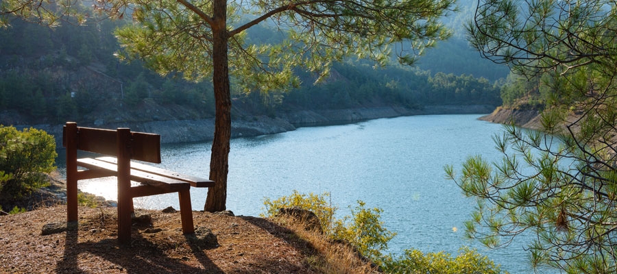 &Psi;ά&chi;&nu;&epsilon;&iota;&sigmaf; &pi;&omicron;&upsilon; &nu;&alpha; &kappa;ά&nu;&epsilon;&iota;&sigmaf; &tau;&omicron; &pi;&iota;&kappa;&nu;ί&kappa; &tau;&eta;&sigmaf; &Kappa;&alpha;&theta;&alpha;&rho;ά&sigmaf; &Delta;&epsilon;&upsilon;&tau;έ&rho;&alpha;&sigmaf;; &Epsilon;&pi;έ&lambda;&epsilon;&xi;&epsilon; έ&nu;&alpha; &alpha;&pi;ό &tau;&omicron;&upsilon;&sigmaf; &epsilon;&kappa;&delta;&rho;&omicron;&mu;&iota;&kappa;&omicron;ύ&sigmaf; &mu;&alpha;&sigmaf; &chi;ώ&rho;&omicron;&upsilon;&sigmaf; - &Delta;&epsilon;ί&tau;&epsilon; &pi;&omicron;&upsilon; &beta;&rho;ί&sigma;&kappa;&omicron;&nu;&tau;&alpha;&iota;