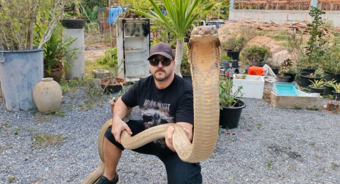 VIDEO: &Tau;&rho;&epsilon;&lambda;έ&sigmaf; &pi;&epsilon;&rho;&iota;&pi;έ&tau;&epsilon;&iota;&epsilon;&sigmaf; &gamma;&iota;&alpha; &tau;&omicron;&nu; &epsilon;&rho;&pi;&epsilon;&tau;&omicron;&lambda;ό&gamma;&omicron; &Gamma;&iota;ά&nu;&nu;&eta; &Alpha;&gamma;&gamma;&epsilon;&lambda;ή - &Eta; &sigma;&tau;&iota;&gamma;&mu;ή &pi;&omicron;&upsilon; &pi;&iota;ά&nu;&epsilon;&iota; &kappa;ό&mu;&pi;&rho;&alpha; &kappa;&alpha;&iota; &tau;&eta;&sigmaf; &delta;ί&nu;&epsilon;&iota; &laquo;&kappa;&alpha;&upsilon;&tau;ό&raquo; &phi;&iota;&lambda;ί