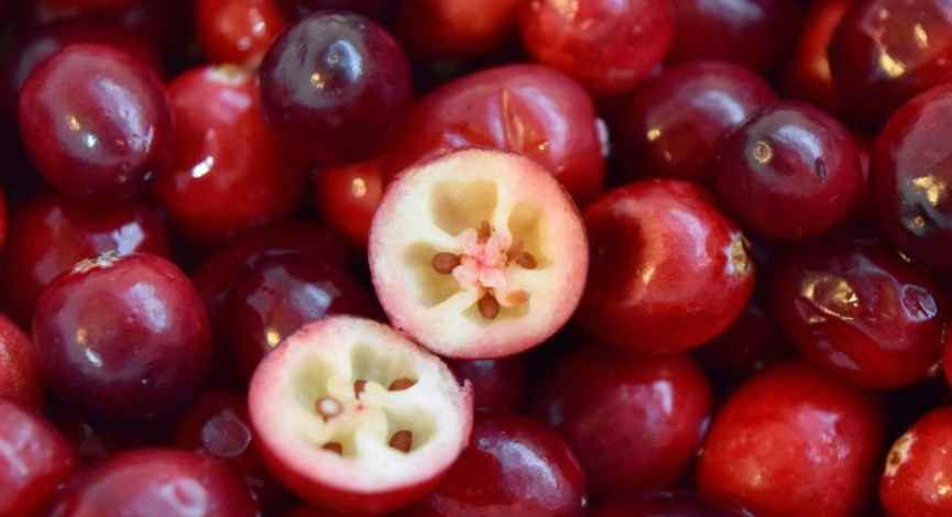 Ο κόσμος έμαθε πως καλλιεργούνται τα cranberries και υπόσχεται να μη δοκιμάσει ποτέ ξανά Ο κόσμος έμαθε πως καλλιεργούνται τα cranberries και υπόσχεται να μη δοκιμάσει ποτέ ξανά