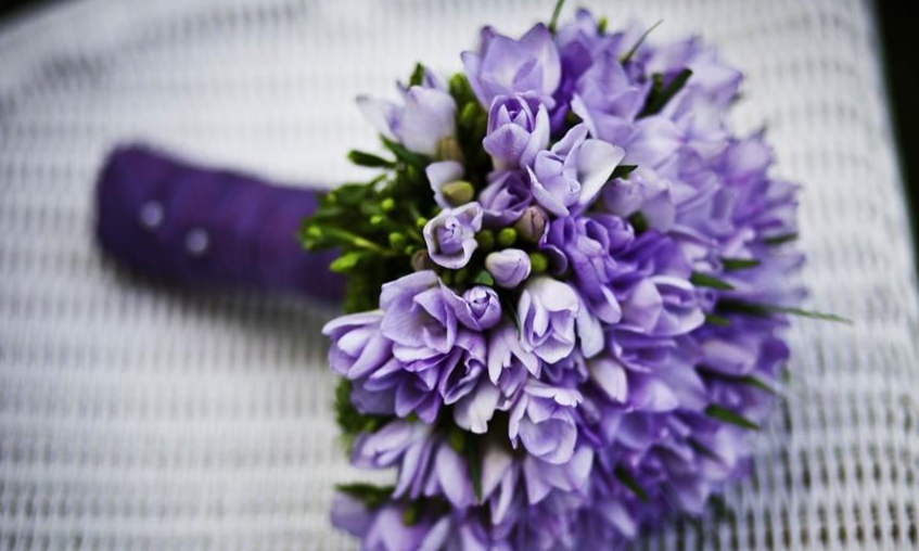 &Epsilon;&omicron;&rho;&tau;&omicron;&lambda;ό&gamma;&iota;&omicron;: &Pi;&omicron;&iota;&omicron;&iota; &gamma;&iota;&omicron;&rho;&tau;ά&zeta;&omicron;&upsilon;&nu; &sigma;ή&mu;&epsilon;&rho;&alpha;, &Tau;&epsilon;&tau;ά&rho;&tau;&eta; 21 &Iota;&alpha;&nu;&omicron;&upsilon;&alpha;&rho;ί&omicron;&upsilon; &ndash; &Pi;&omicron;&lambda;&lambda;ά &tau;&alpha; &omicron;&nu;ό&mu;&alpha;&tau;&alpha; - &Mu;&eta;&nu; &xi;&epsilon;&chi;ά&sigma;&epsilon;&tau;&epsilon; &nu;&alpha; &tau;&omicron;&upsilon;&sigmaf; &epsilon;&upsilon;&chi;&eta;&theta;&epsilon;ί&tau;&epsilon;